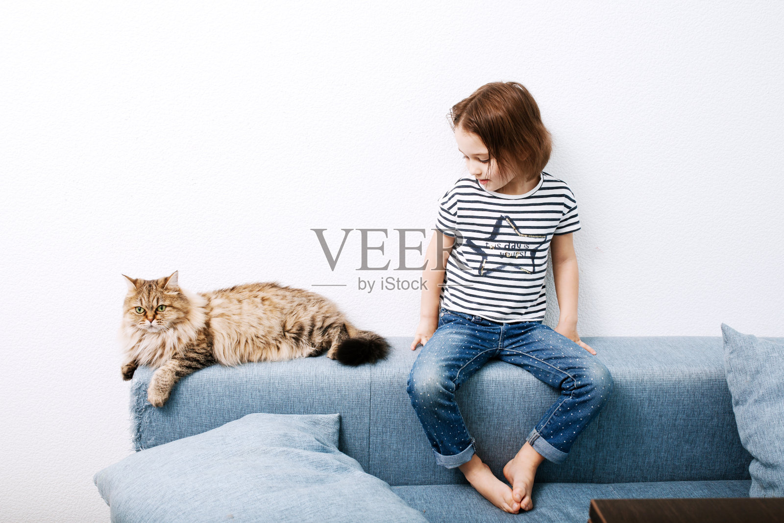 一个学龄前的小女孩和一只猫坐在沙发上，背景是白色的墙壁照片摄影图片