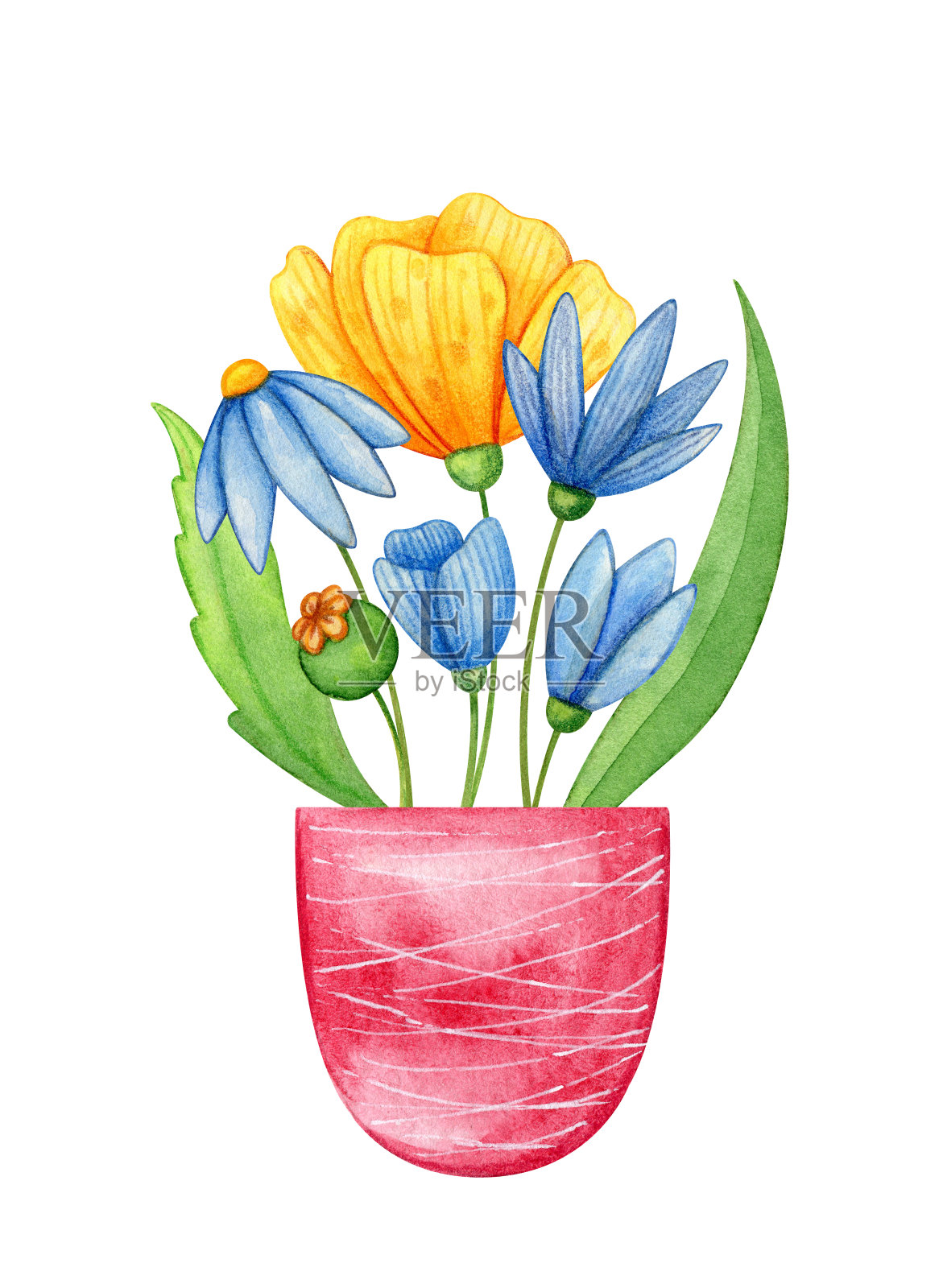 用水彩手绘的花盆里的野花。蓝色和黄色的罂粟和绿色的叶子在紫色的罐子。贺卡插图。插画图片素材
