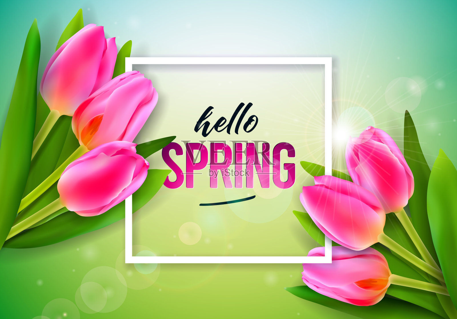矢量插图在春天的自然主题与美丽的郁金香花在绿色的背景。采购产品为旗帜，传单，邀请，海报或贺卡的印刷字体的花的设计模板。插画图片素材