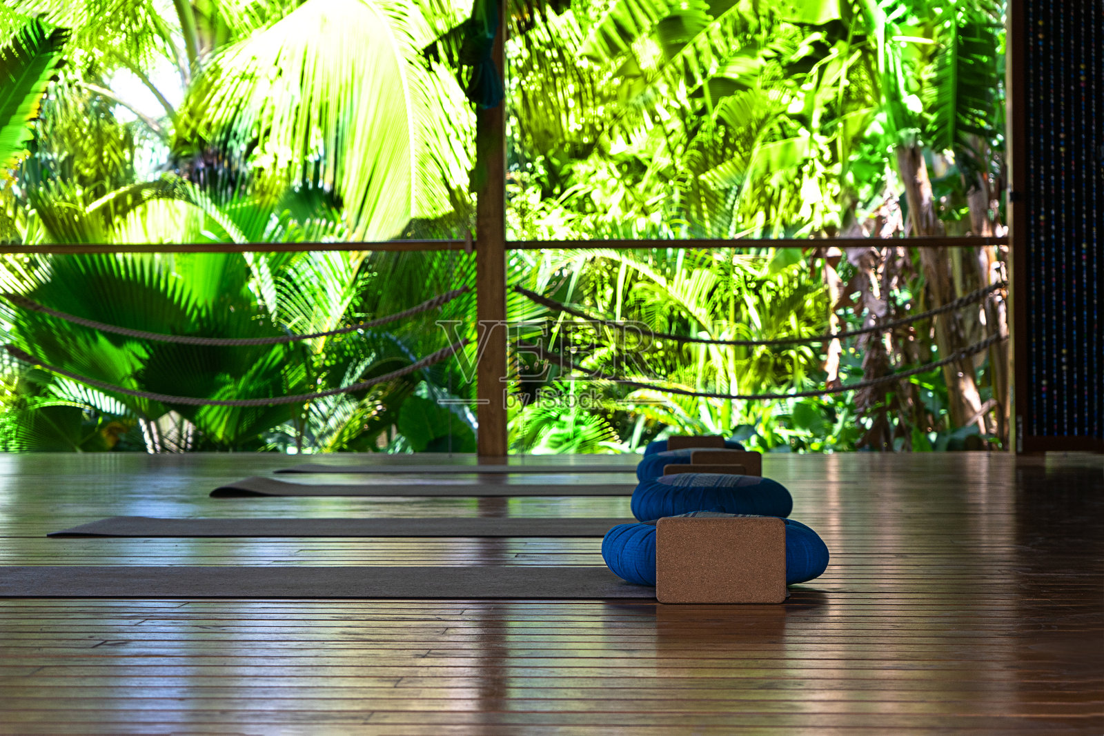 开放热带瑜伽工作室的地方与风景美丽的花园与棕榈树和海洋。照片摄影图片
