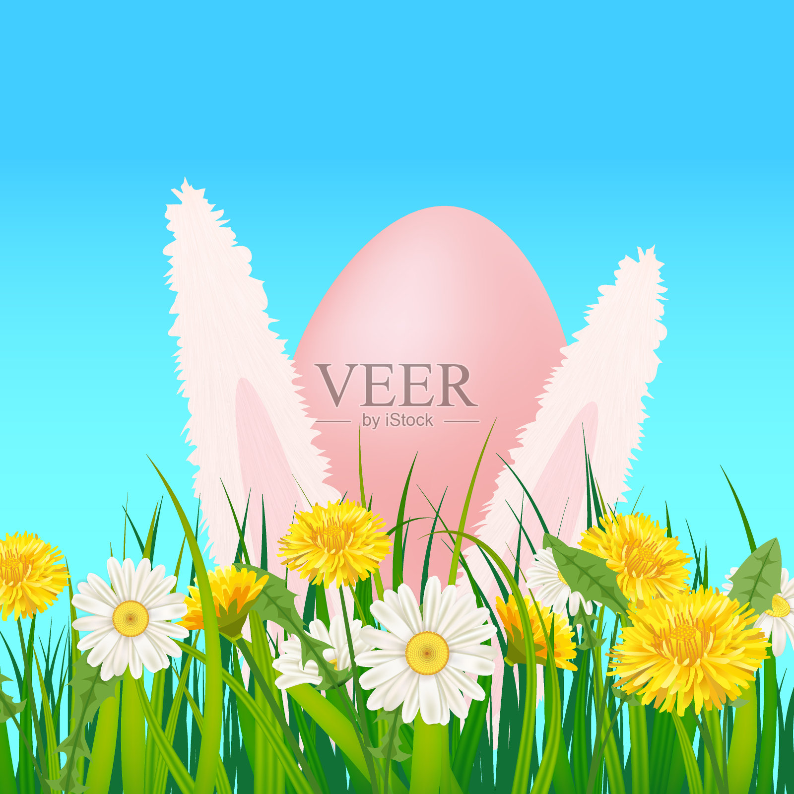模板旗帜复活节彩蛋耳朵的复活节兔子伸出蒲公英和雏菊，草，绿色自然背景矢量，插图，孤立插画图片素材