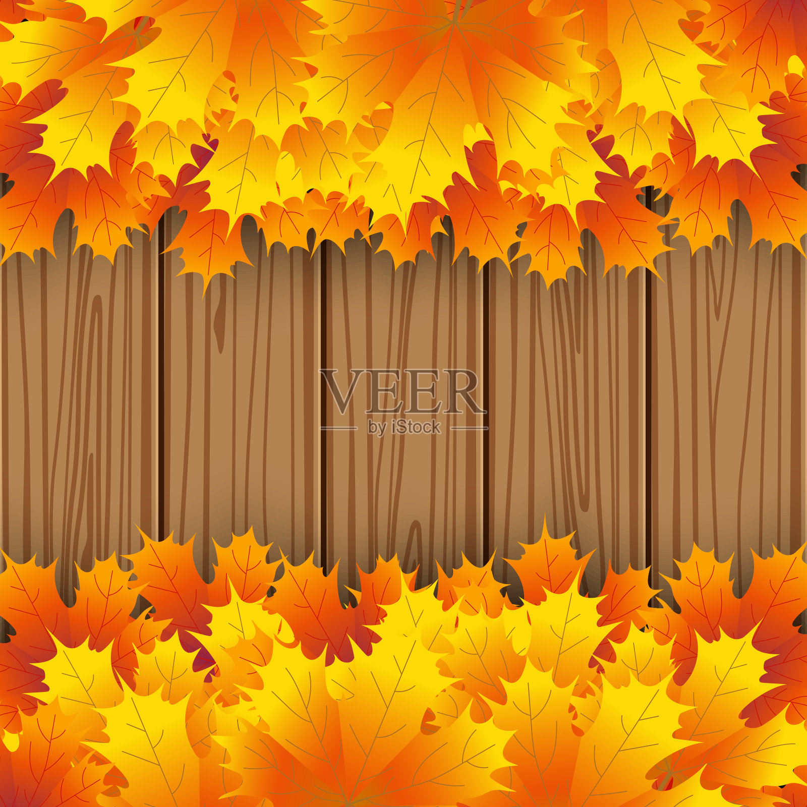 秋日枫叶在木板上作背景插画图片素材