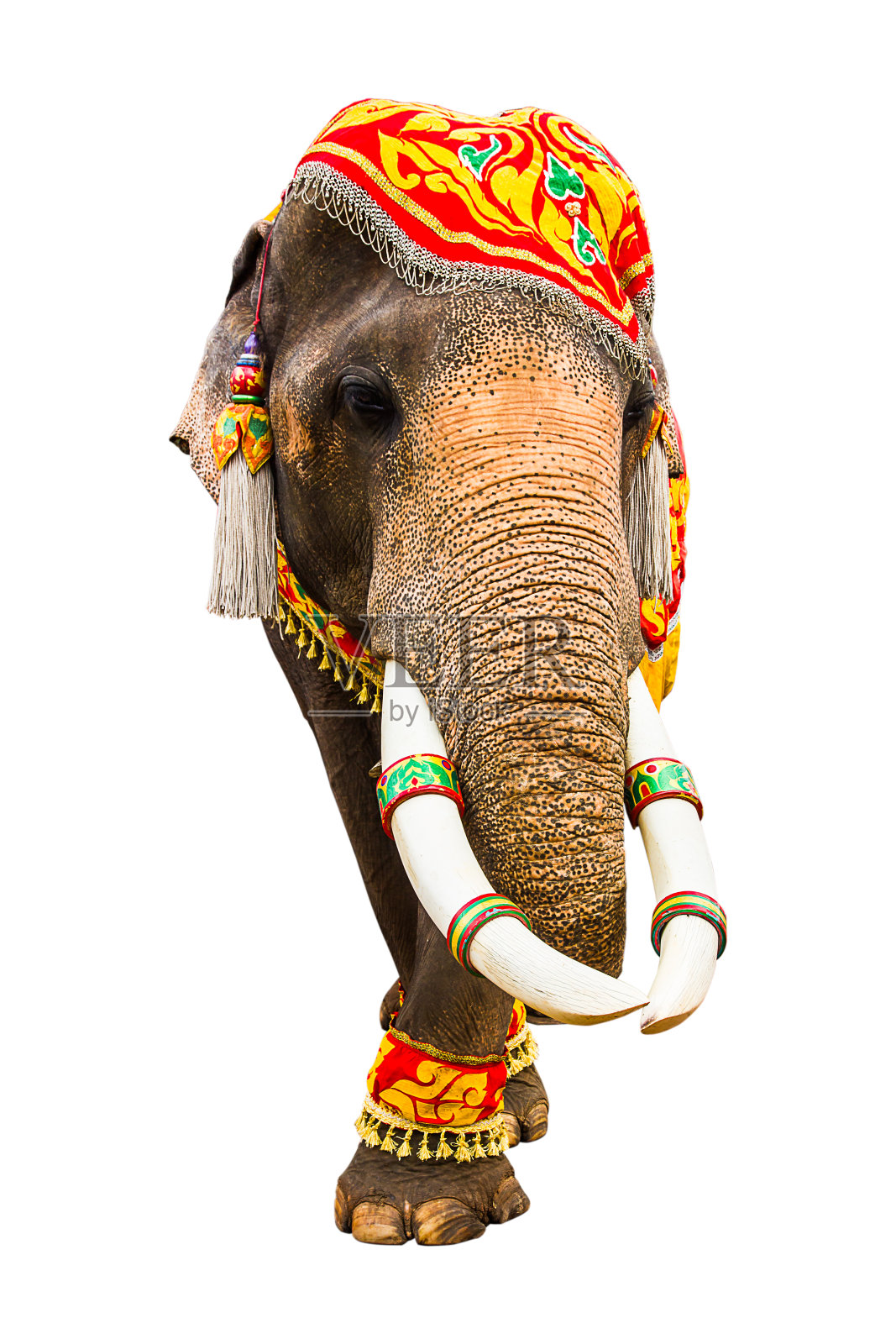 大象有美丽和大孤立在白色的背景。彩绘象头，装饰泰国大象。照片摄影图片