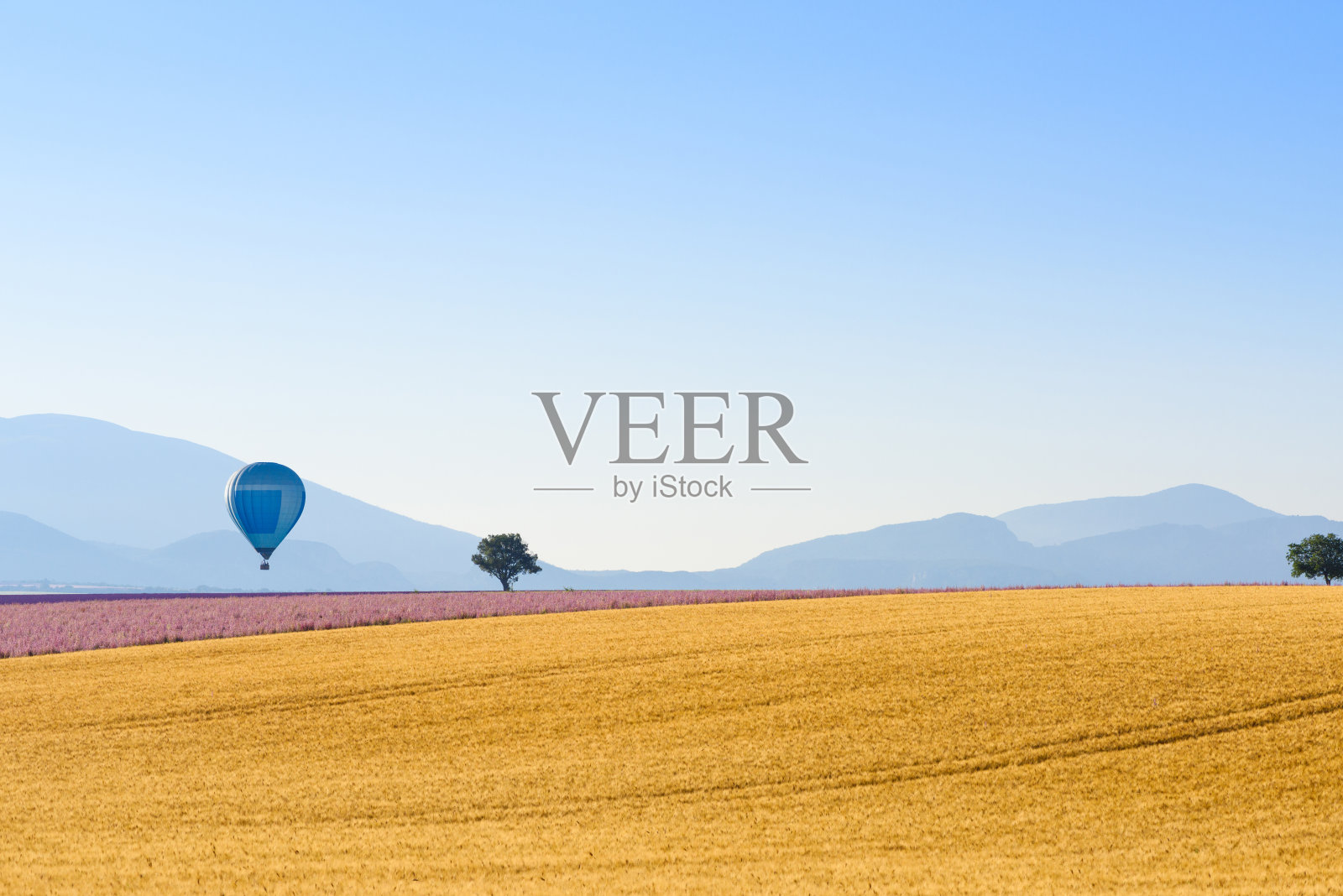 法国的小麦、鼠尾草和薰衣草田和热气球照片摄影图片