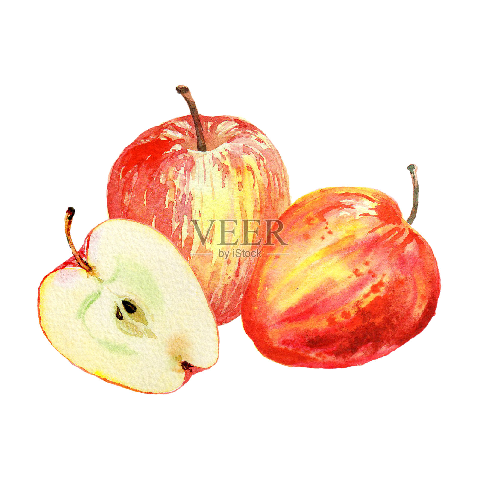 红苹果孤立在白色背景上。切割和整个红苹果的水彩插图。收获的集合。果集。插画图片素材