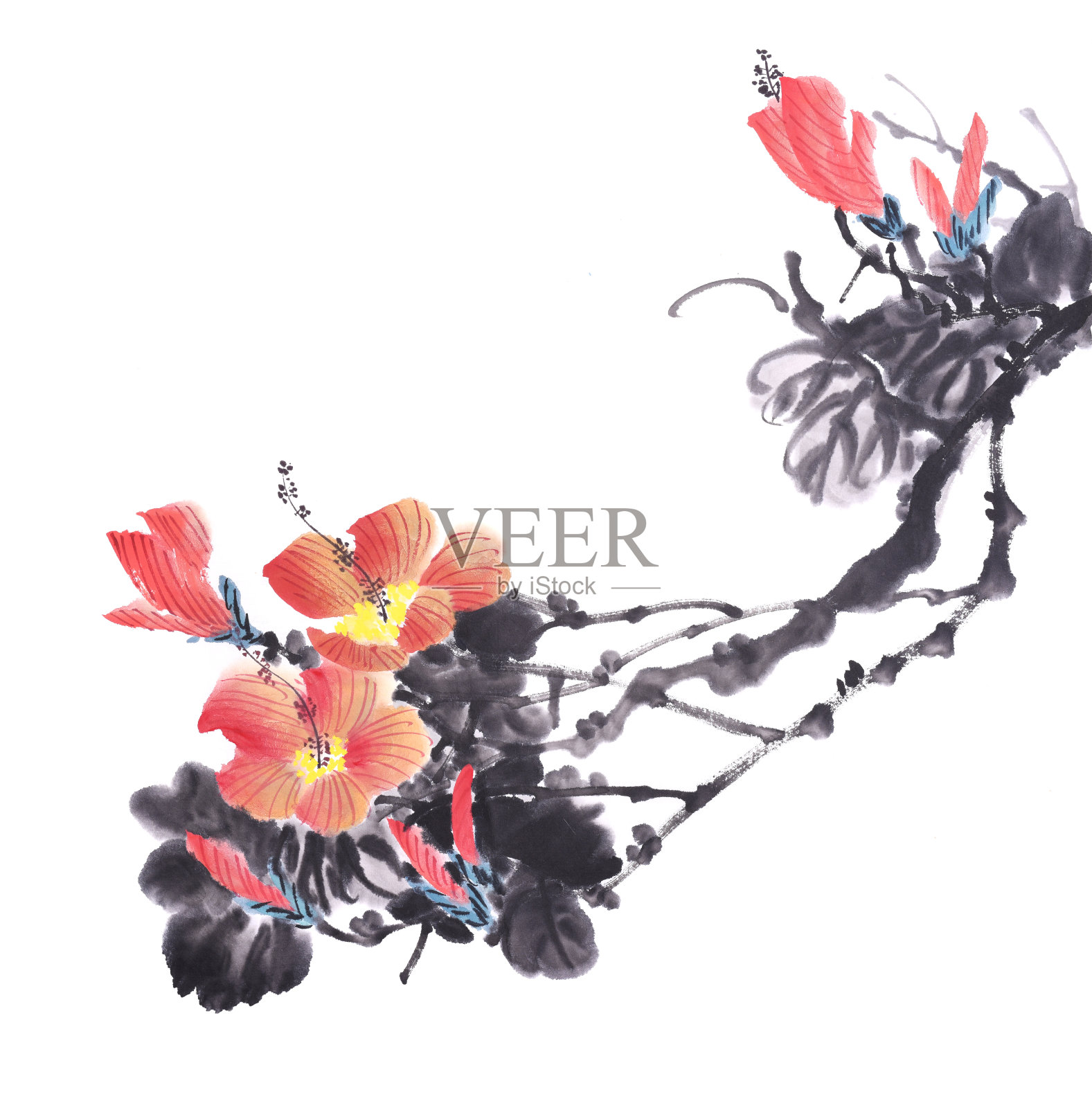 中国传统水墨画中的芙蓉花插画图片素材