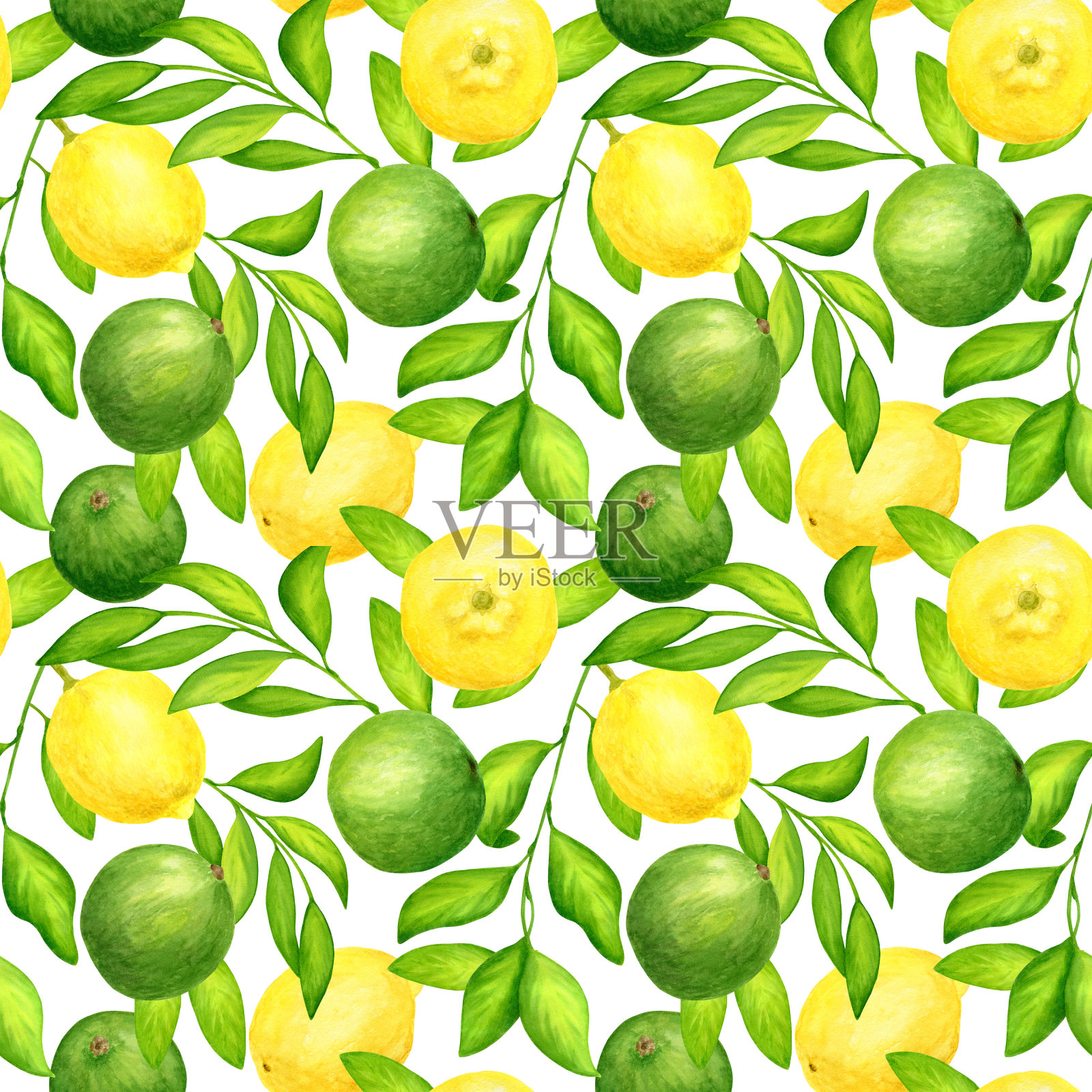 水彩酸橙和柠檬叶无缝模式。手工绘制鲜绿色和黄色的柑橘类水果插图孤立在白色的背景，用于纺织，包装，包装，卡片，装饰。插画图片素材