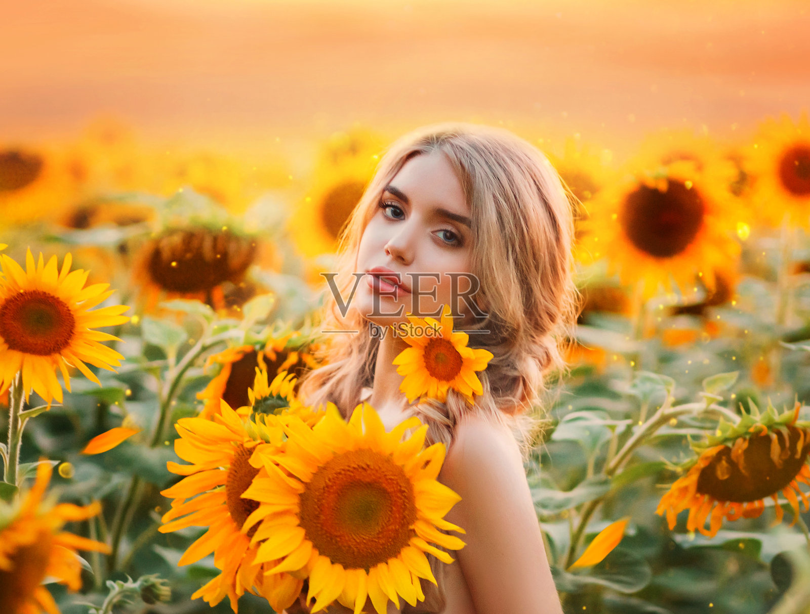 一个年轻的金发女人站在一个盛开的向日葵和拥抱一束花的田野。拂晓时的美人鱼。背景是黄色的田野和火红的夕阳。照片添加谷物。照片摄影图片