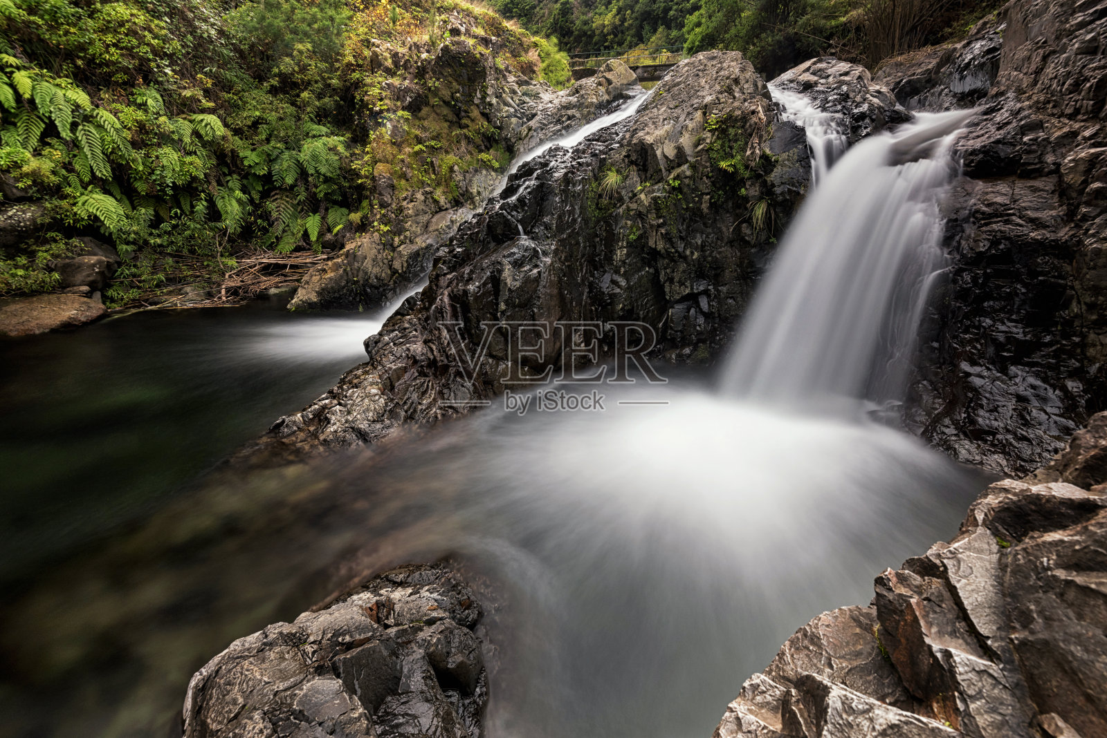 隐藏的瀑布和森林中央的天然水池照片摄影图片