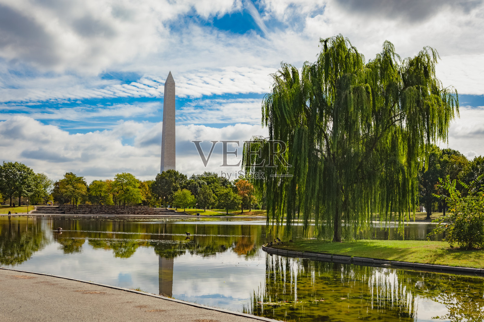 华盛顿特区的宪法花园照片摄影图片