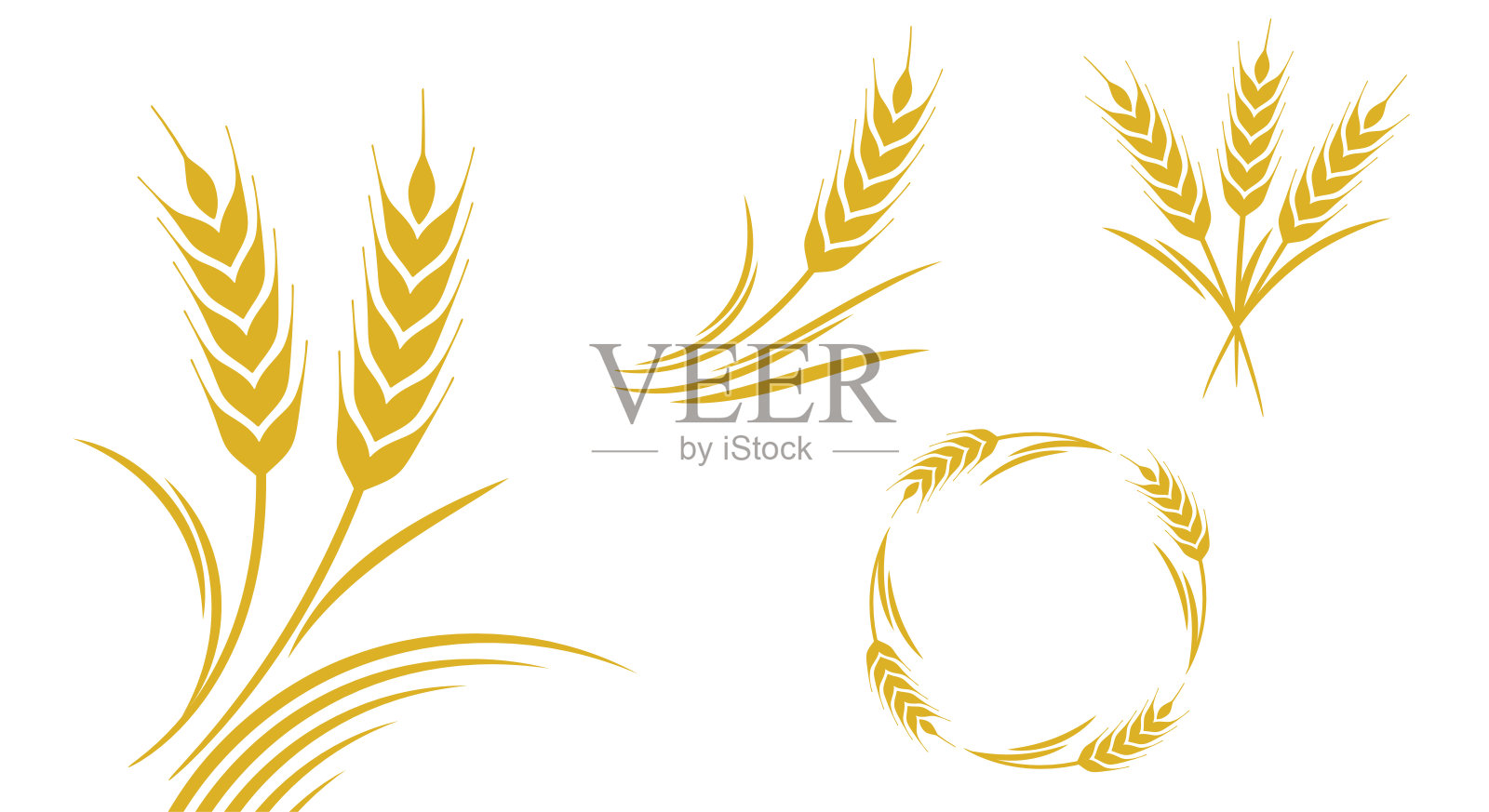 金色的小麦插画图片素材