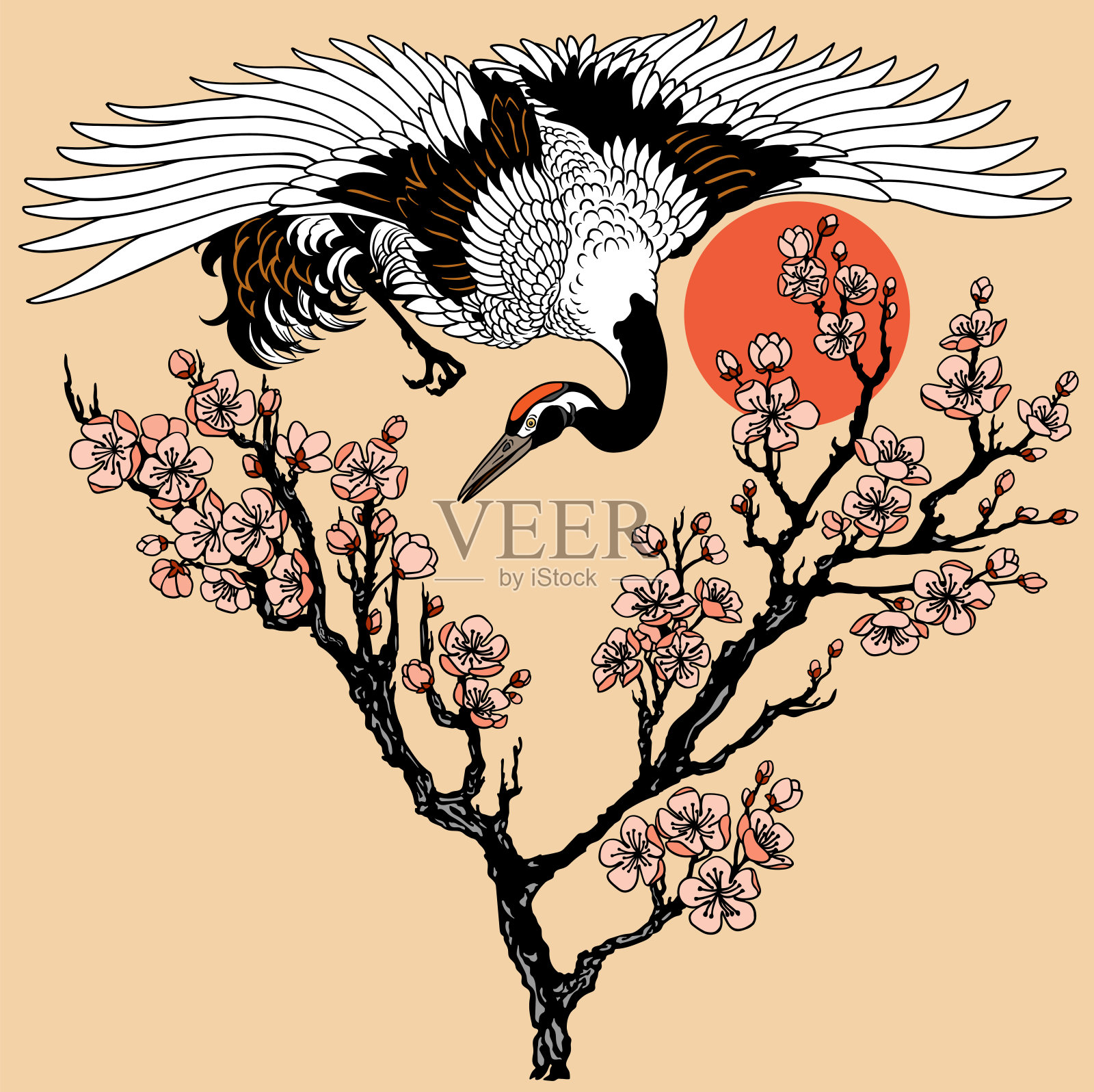 日本鹤与盛开的樱花和红日枝插画图片素材