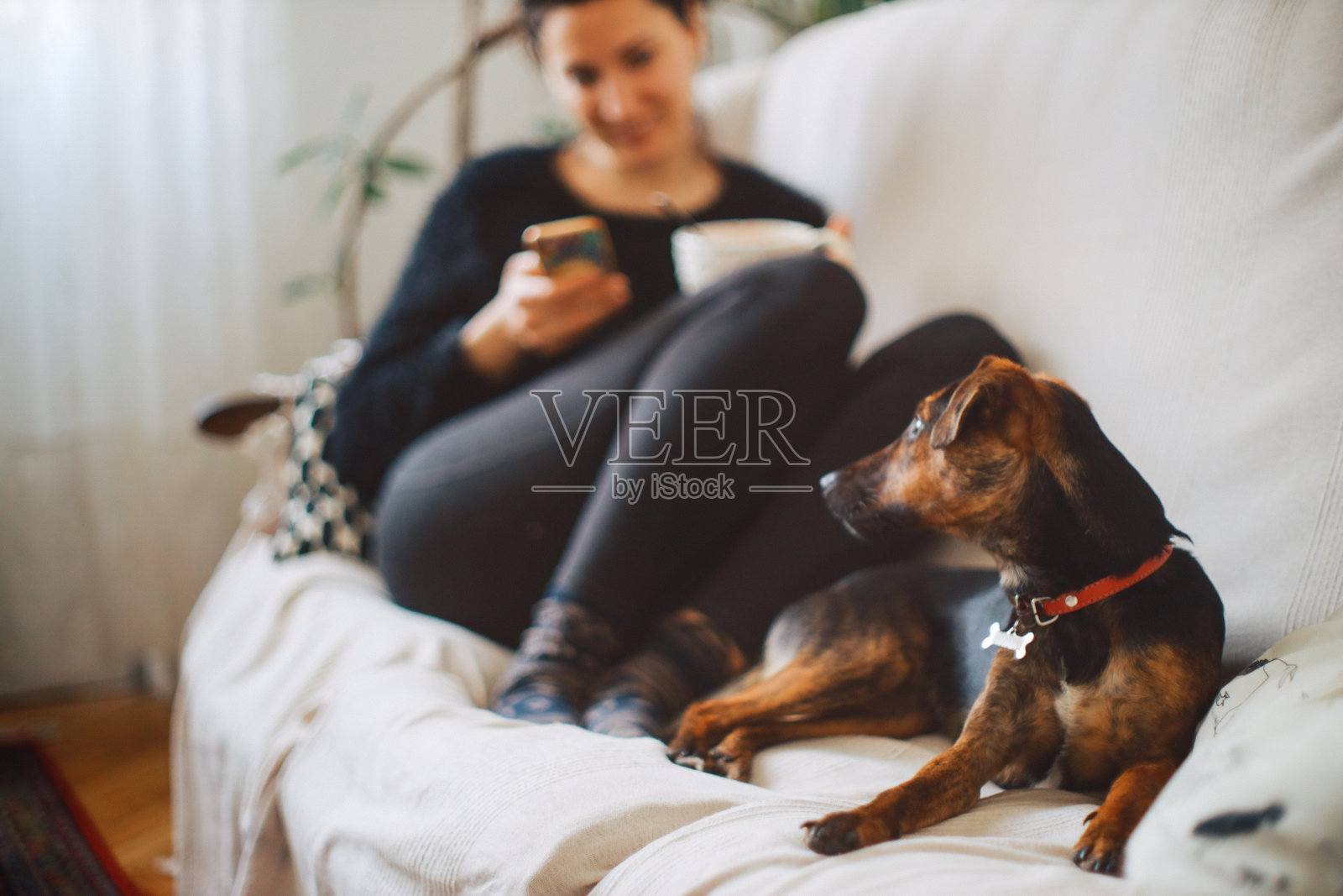 一个女人和她的狗在沙发上休息照片摄影图片