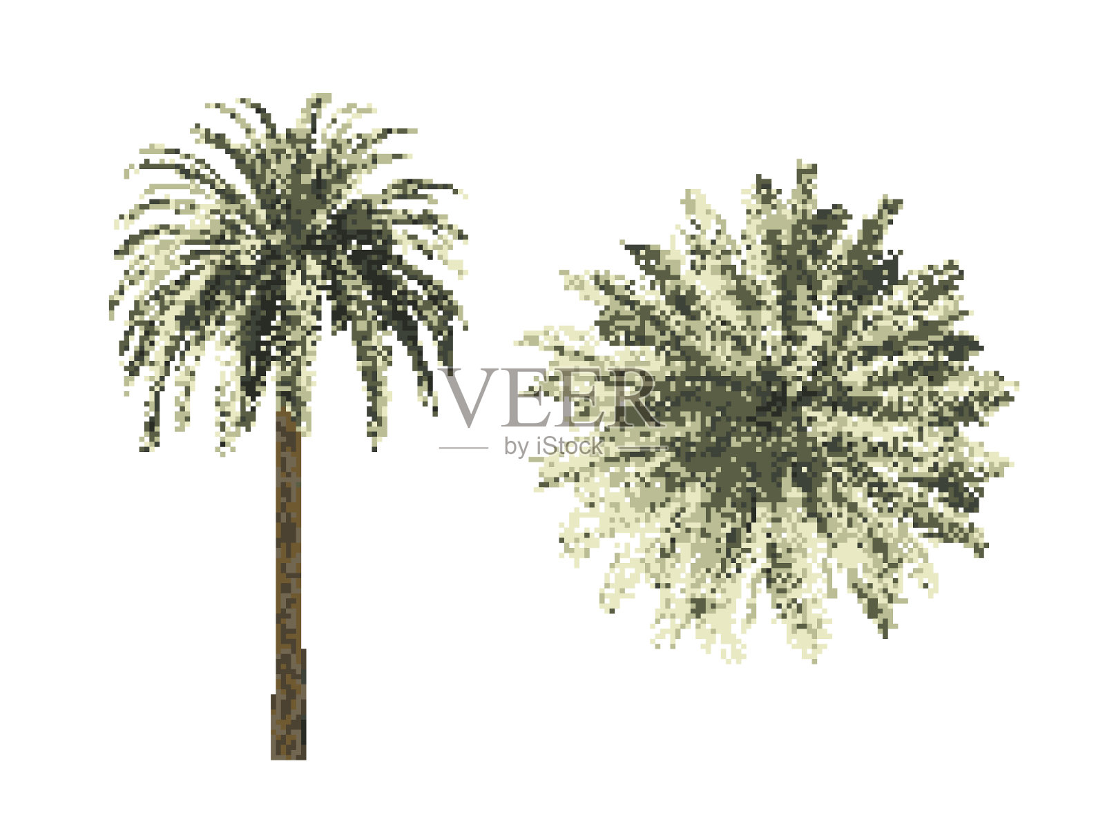 像素化的棕榈凤凰树。像素艺术矢量插图。孤立在白色背景上。前视图。设计元素图片