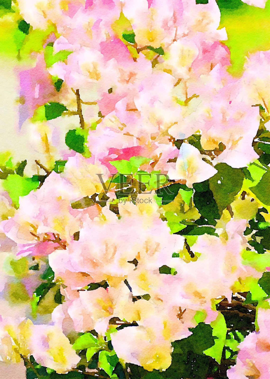 粉红色花的水彩画插画图片素材