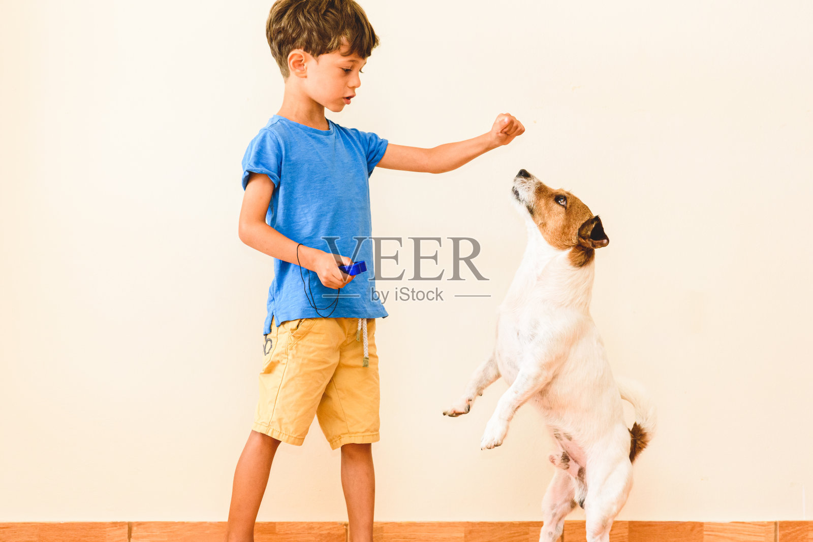 呆在家里学习新的技能概念与男孩训练狗的技巧与点击器和积极的强化照片摄影图片