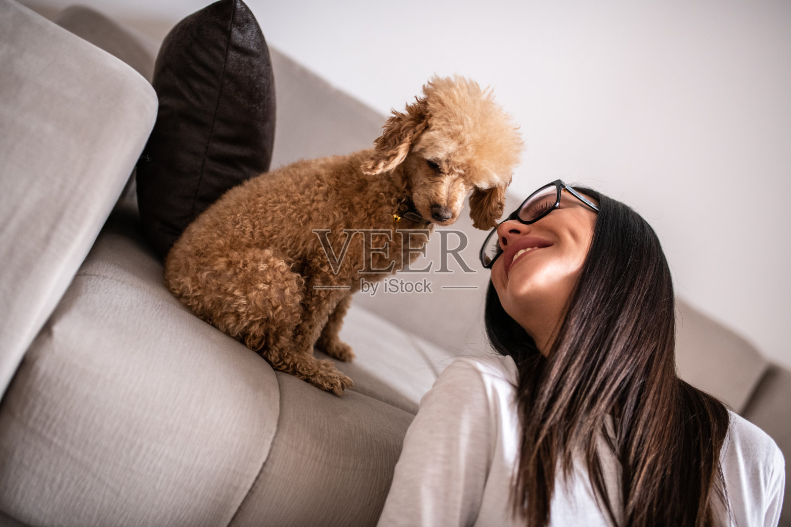 美丽的女孩在家里和她的狗玩。照片摄影图片