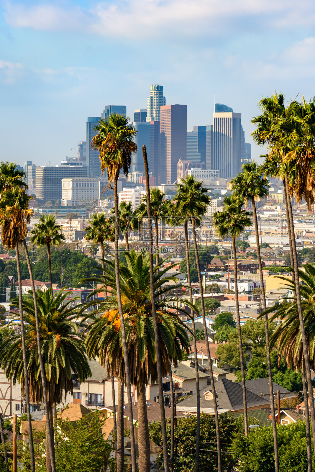 阳光明媚的洛杉矶市中心照片摄影图片