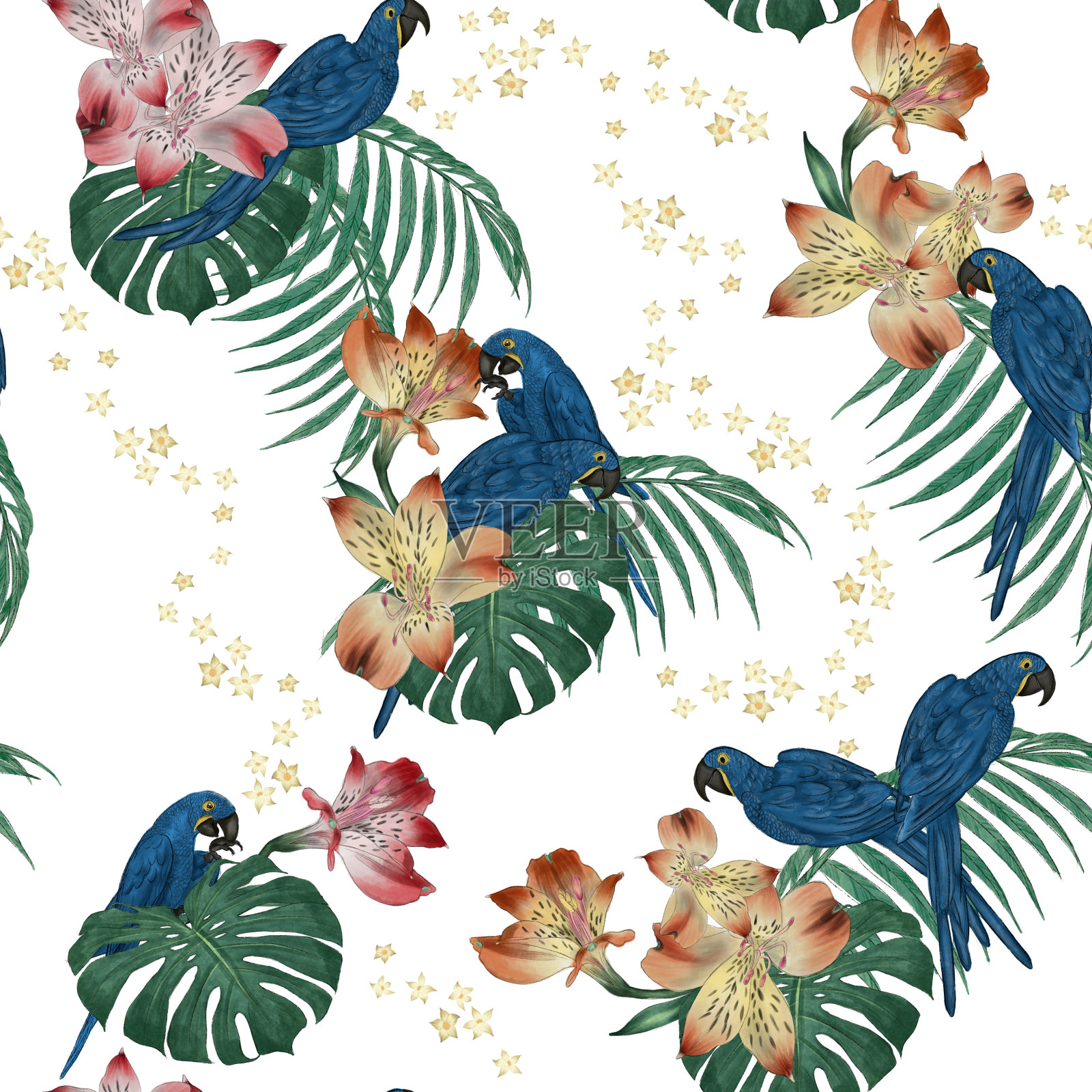 金刚鹦鹉热带图案水彩画插画图片素材