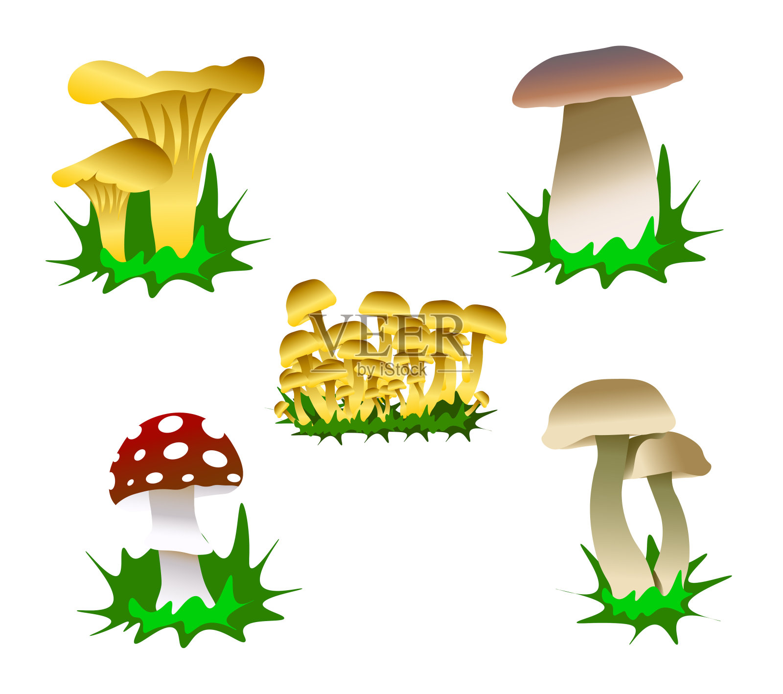 一套森林蘑菇的颜色。新鲜的有机食品。孤立的向量设计元素图片
