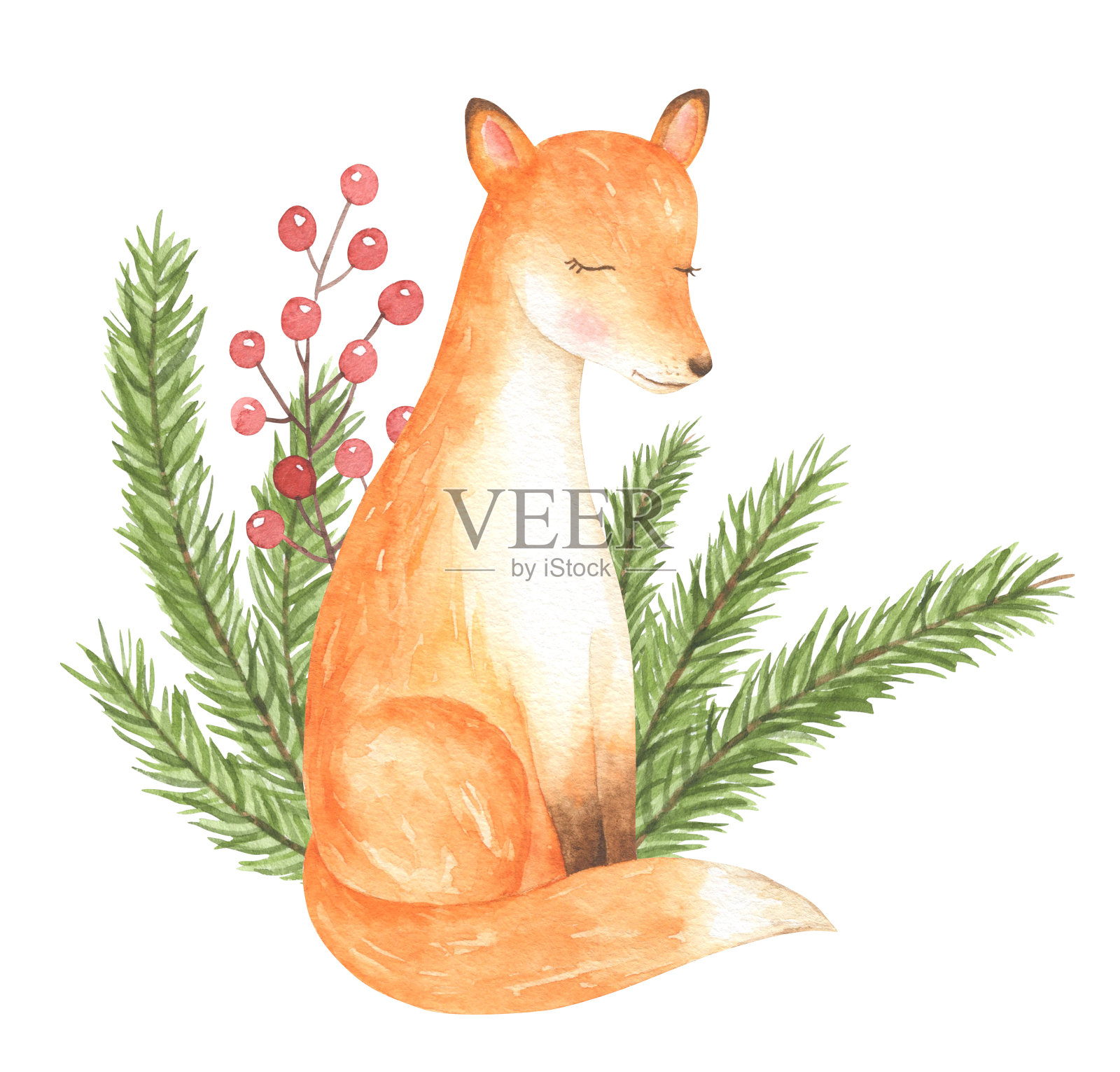 水彩狐狸和针插图设计元素图片