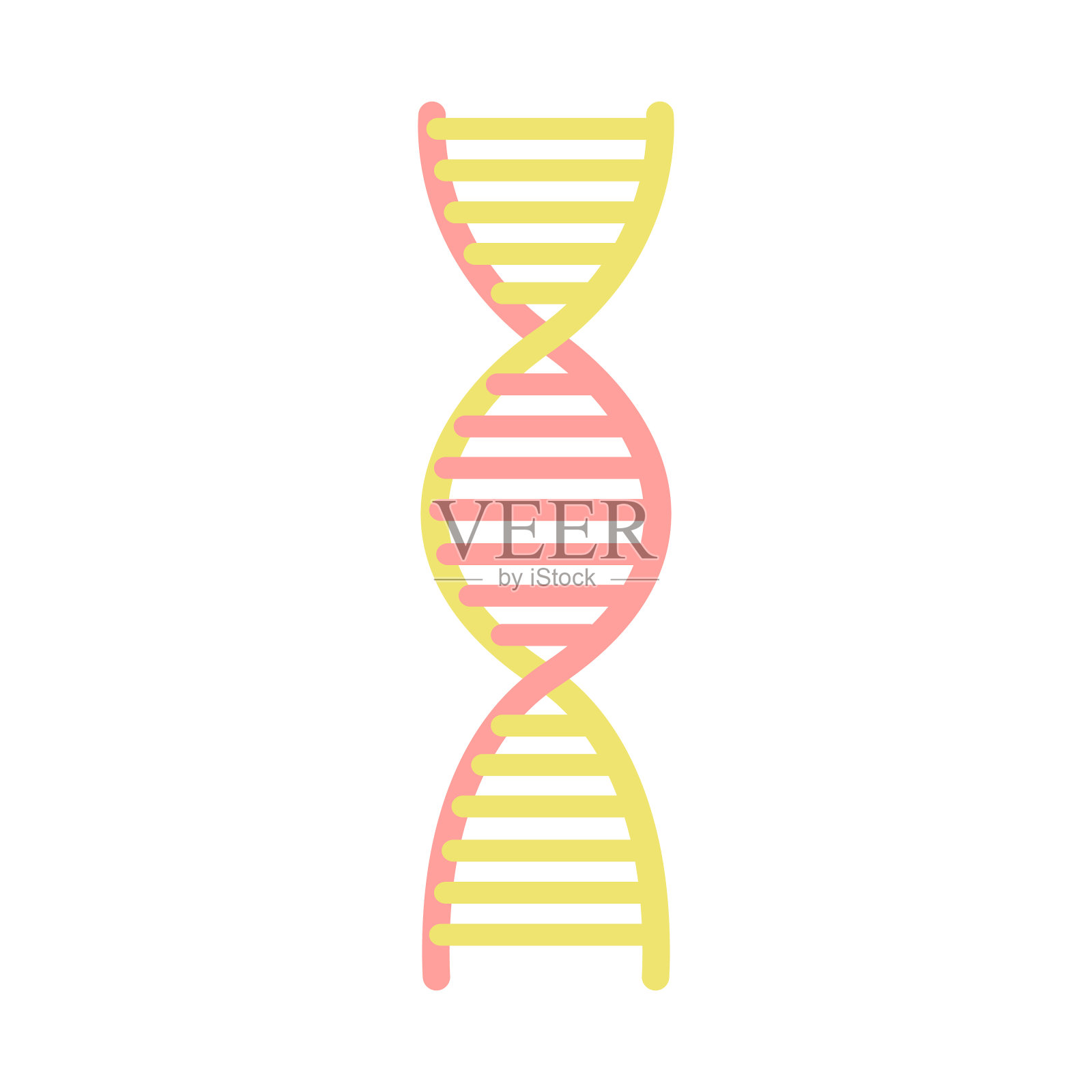 卡通DNA，基因组分子图标，遗传符号，染色体符号。插画图片素材