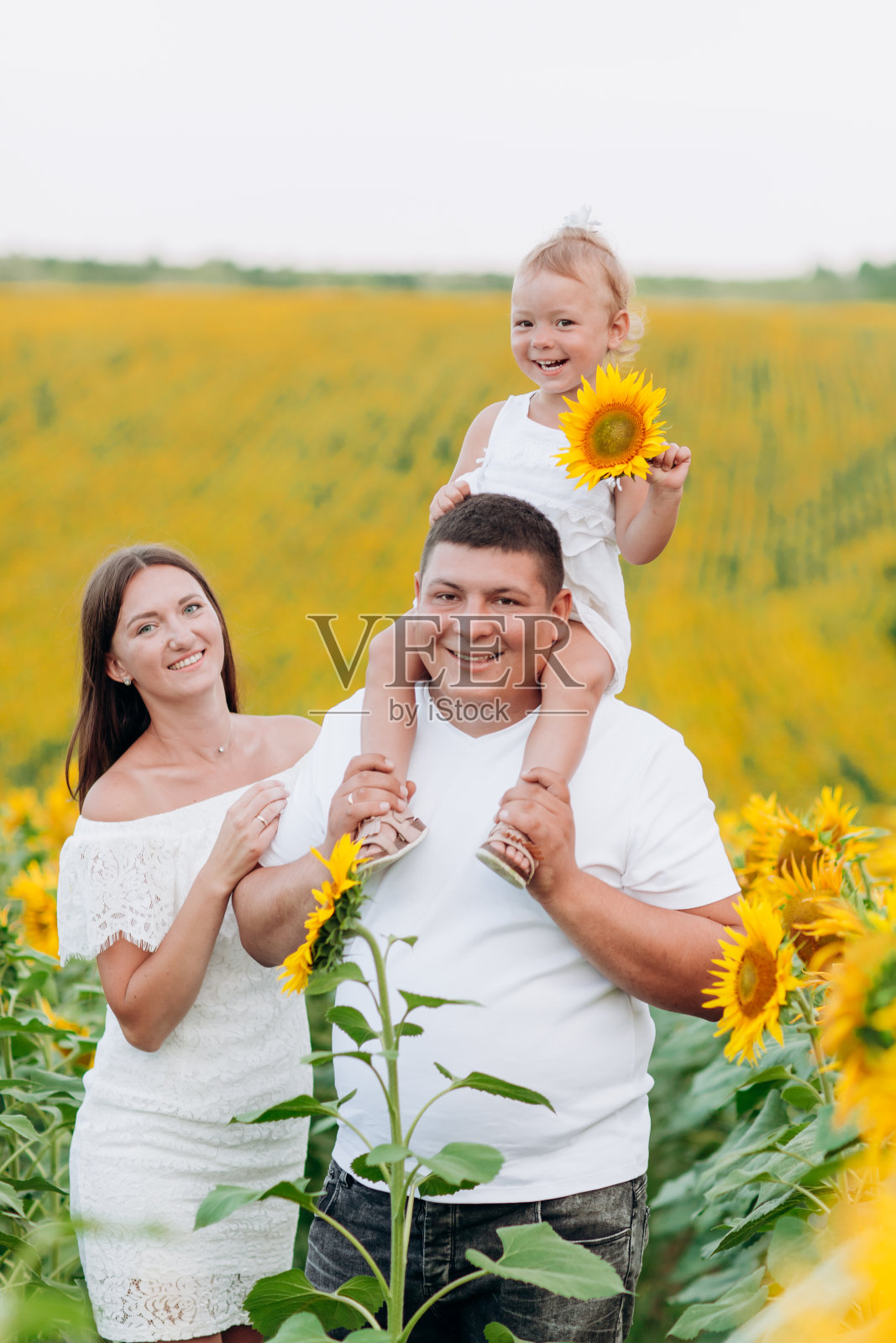快乐的一家人在向日葵地里玩耍。父亲抱着女儿。小女孩抱着向日葵。户外拍摄。有选择性的重点。照片摄影图片