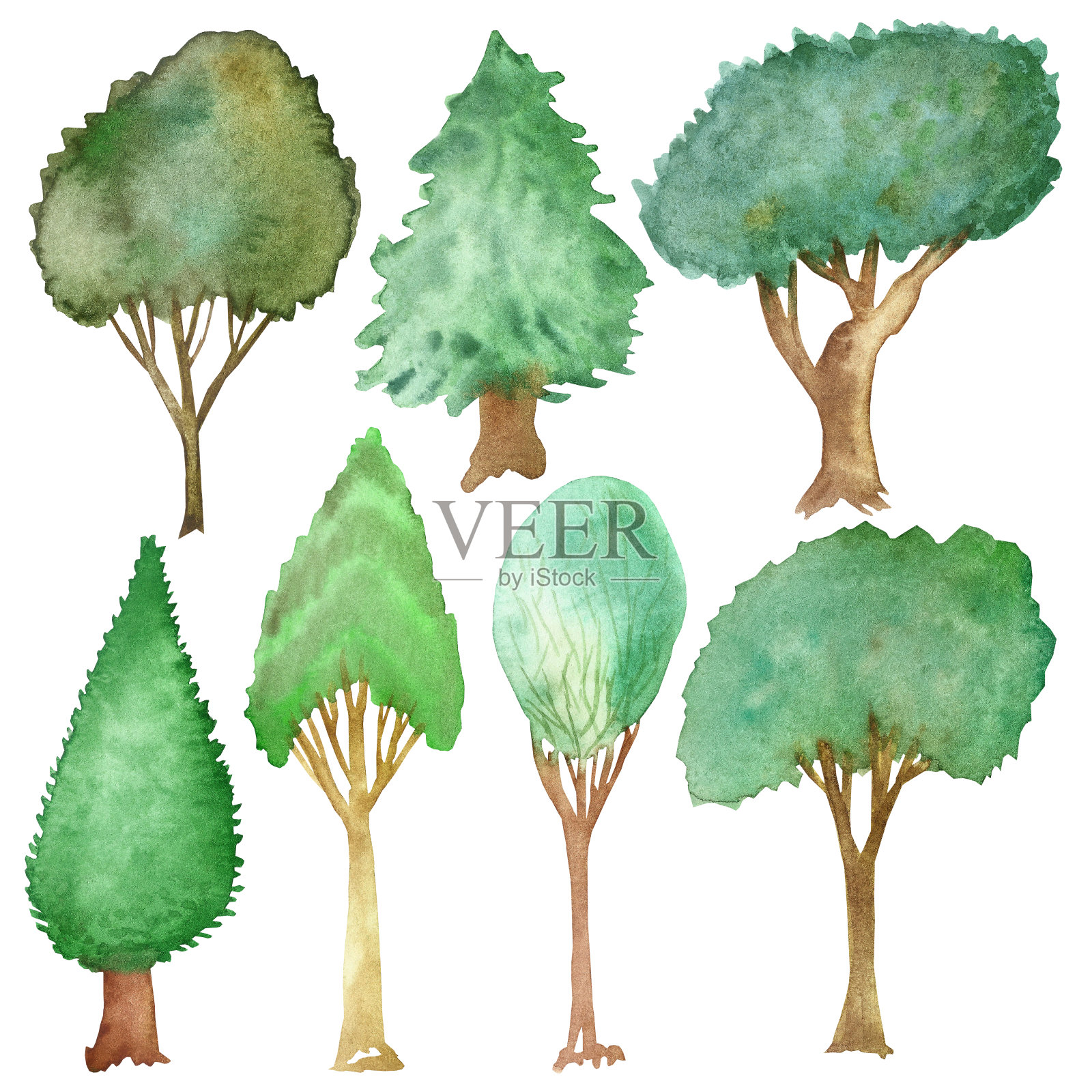 水彩手绘自然植物与七种不同的云杉，橡树，柏树，菩提树，桉树与绿色的叶子和树枝收集孤立在白色的背景插画图片素材