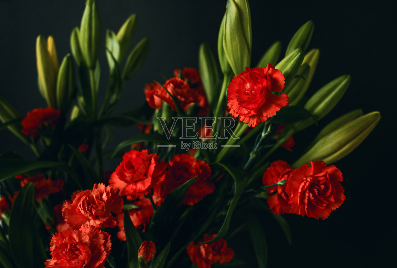红色康乃馨花束，黑色背景照片摄影图片