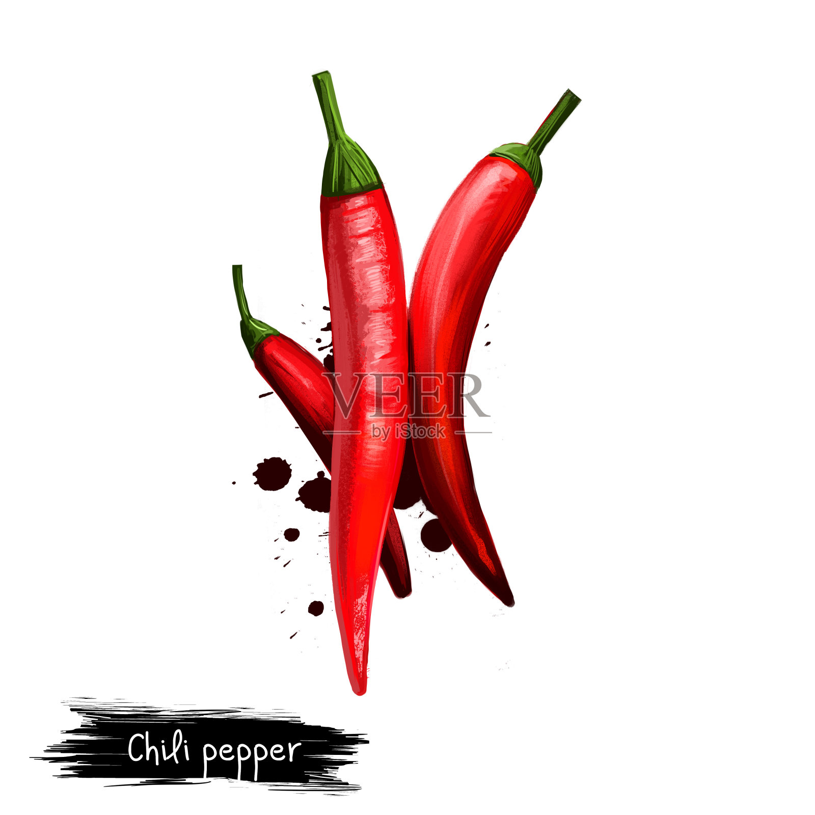 数字插图手绘辣椒或辣椒孤立在白色背景。有机健康食品。红色的蔬菜。手绘植物特写。剪贴画插图。平面设计元素插画图片素材