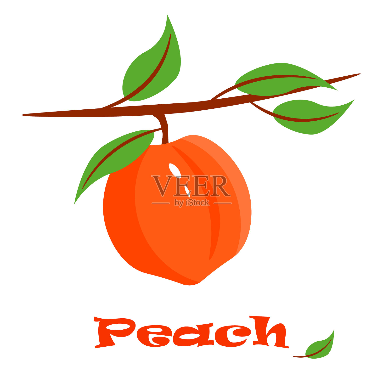 插图与桃子设置在白色的背景。天然水果图标。设计元素图片