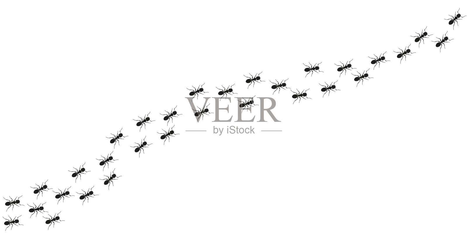 蚂蚁追踪背景。行走或行进的蚂蚁。矢量插图。设计元素图片