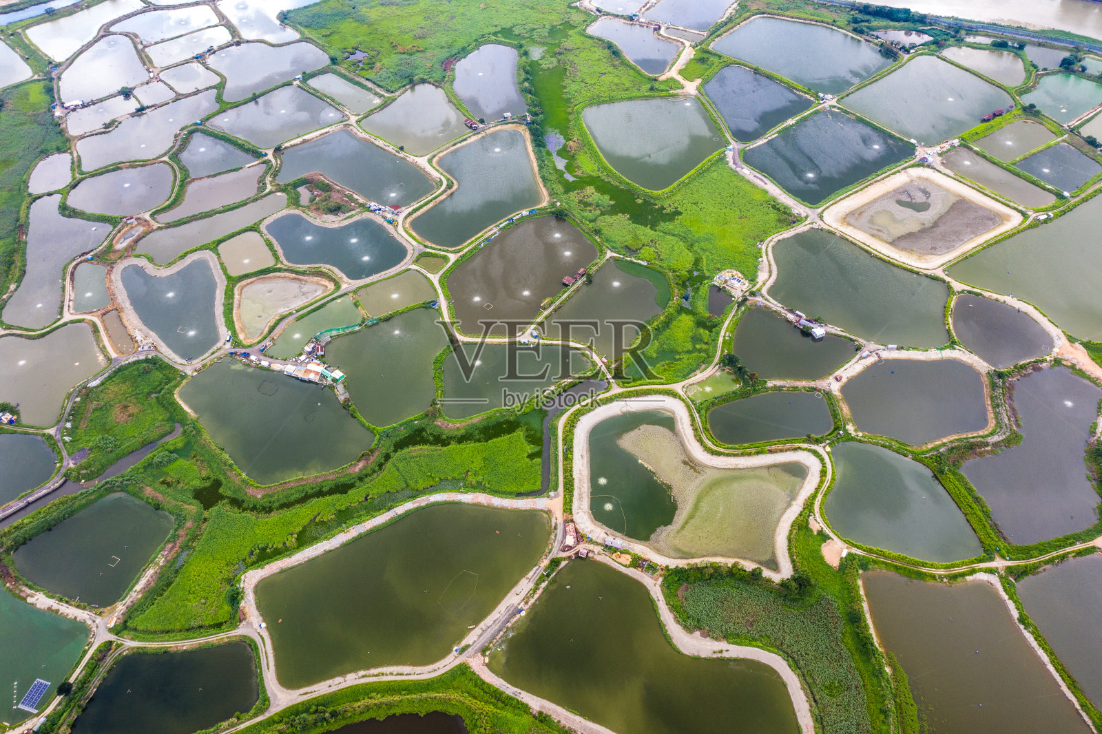 鸟瞰香港边境的鱼塘照片摄影图片