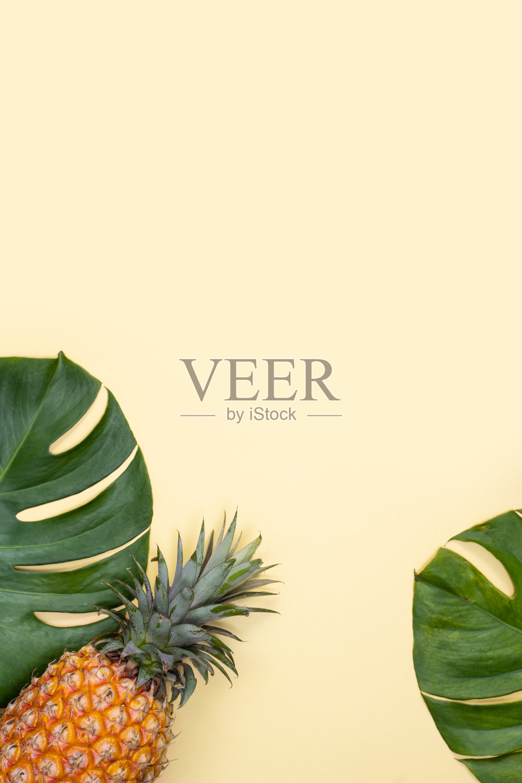 美丽的菠萝在热带棕榈怪兽叶子孤立在明亮柔和的黄色背景。照片摄影图片