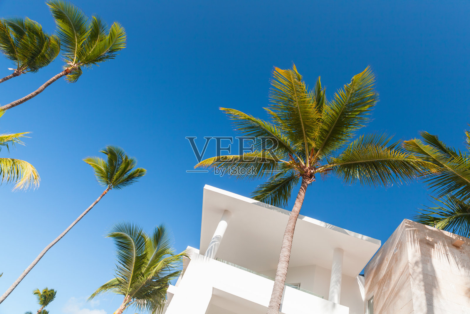 白色的外部碎片和蓝天下的棕榈树照片摄影图片