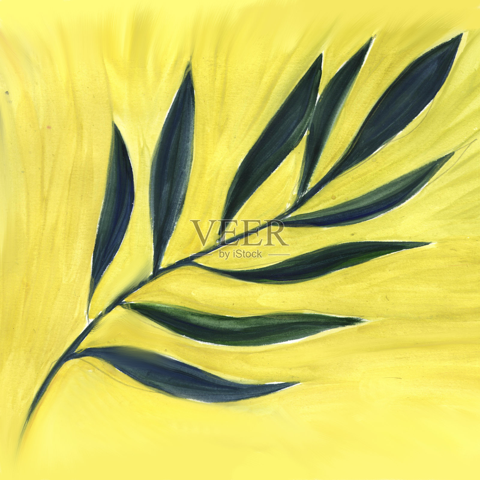 水彩手绘植物插图。插画图片素材