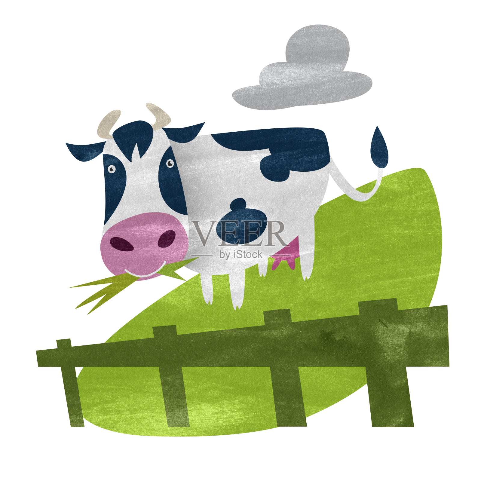 一个有趣的插图，牛吃草在农村旁边的篱笆插画图片素材