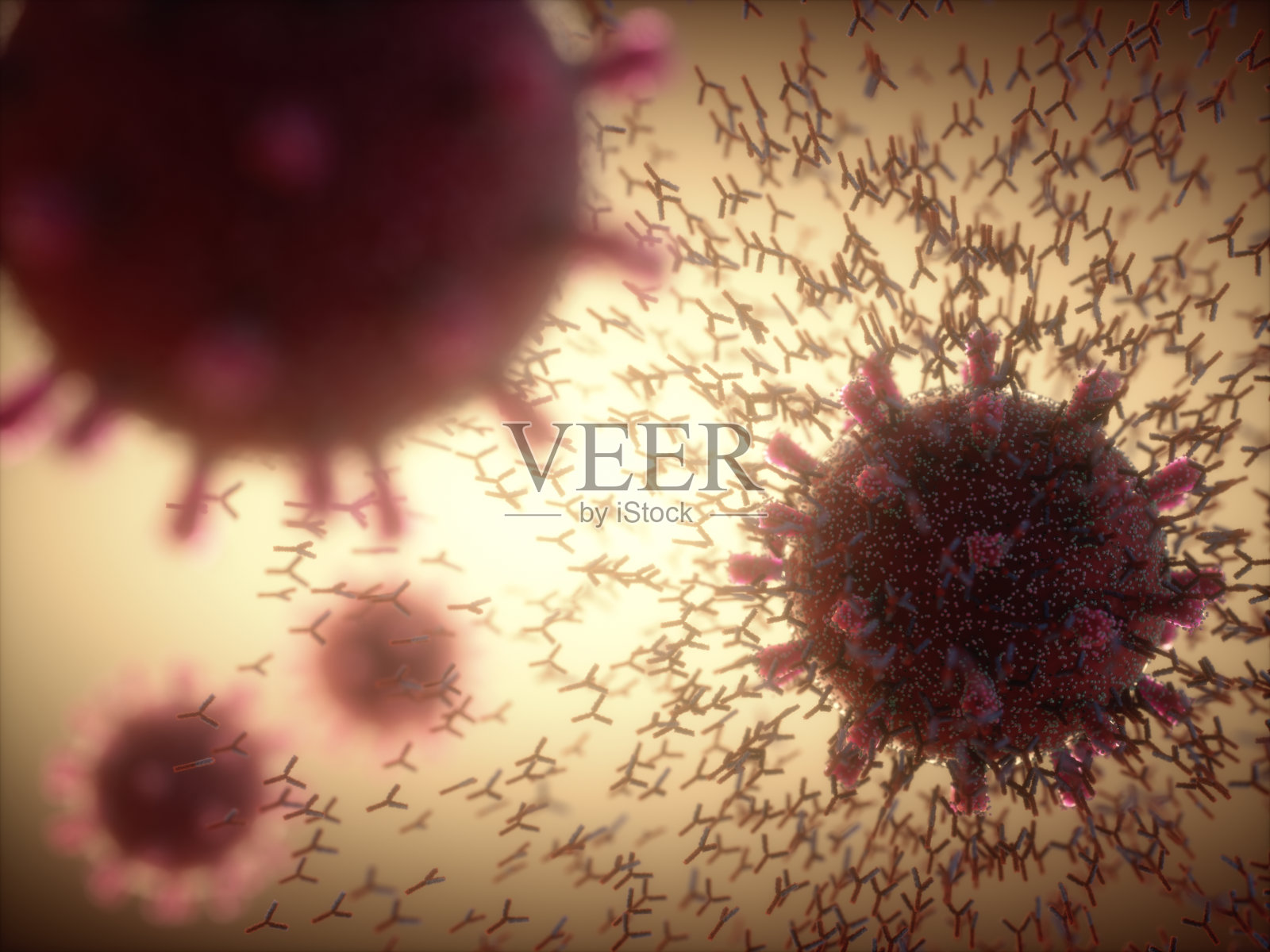 攻击新冠病毒的y型抗体照片摄影图片