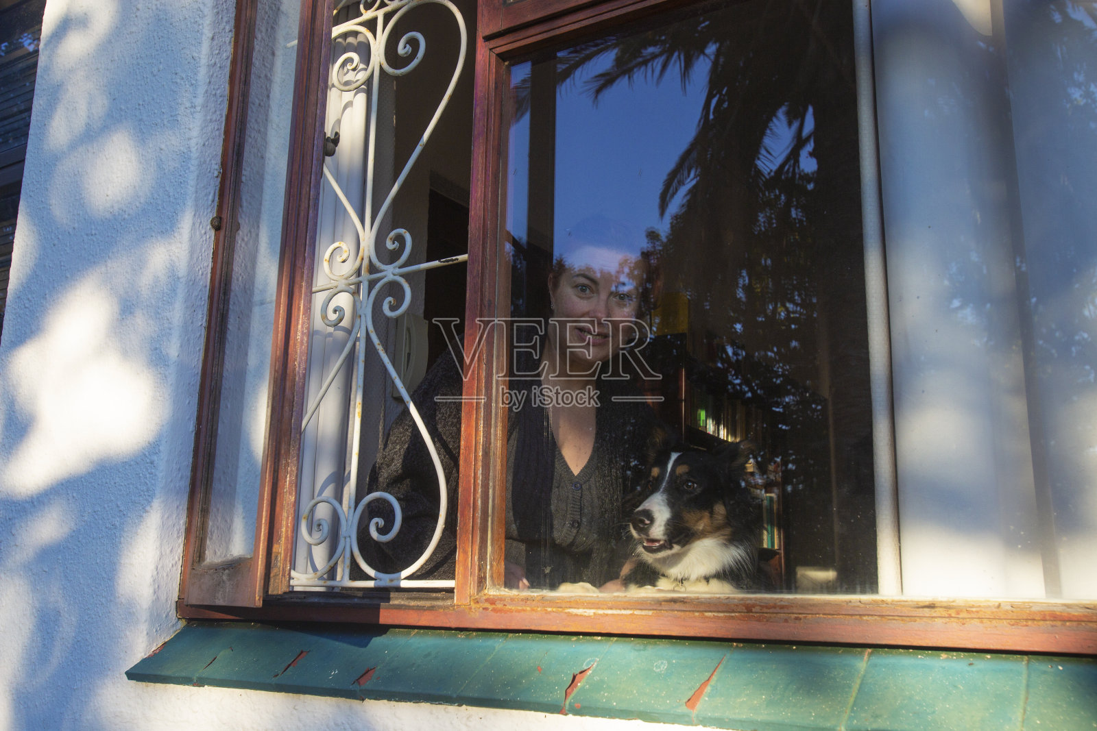 狗和主人望向窗外照片摄影图片