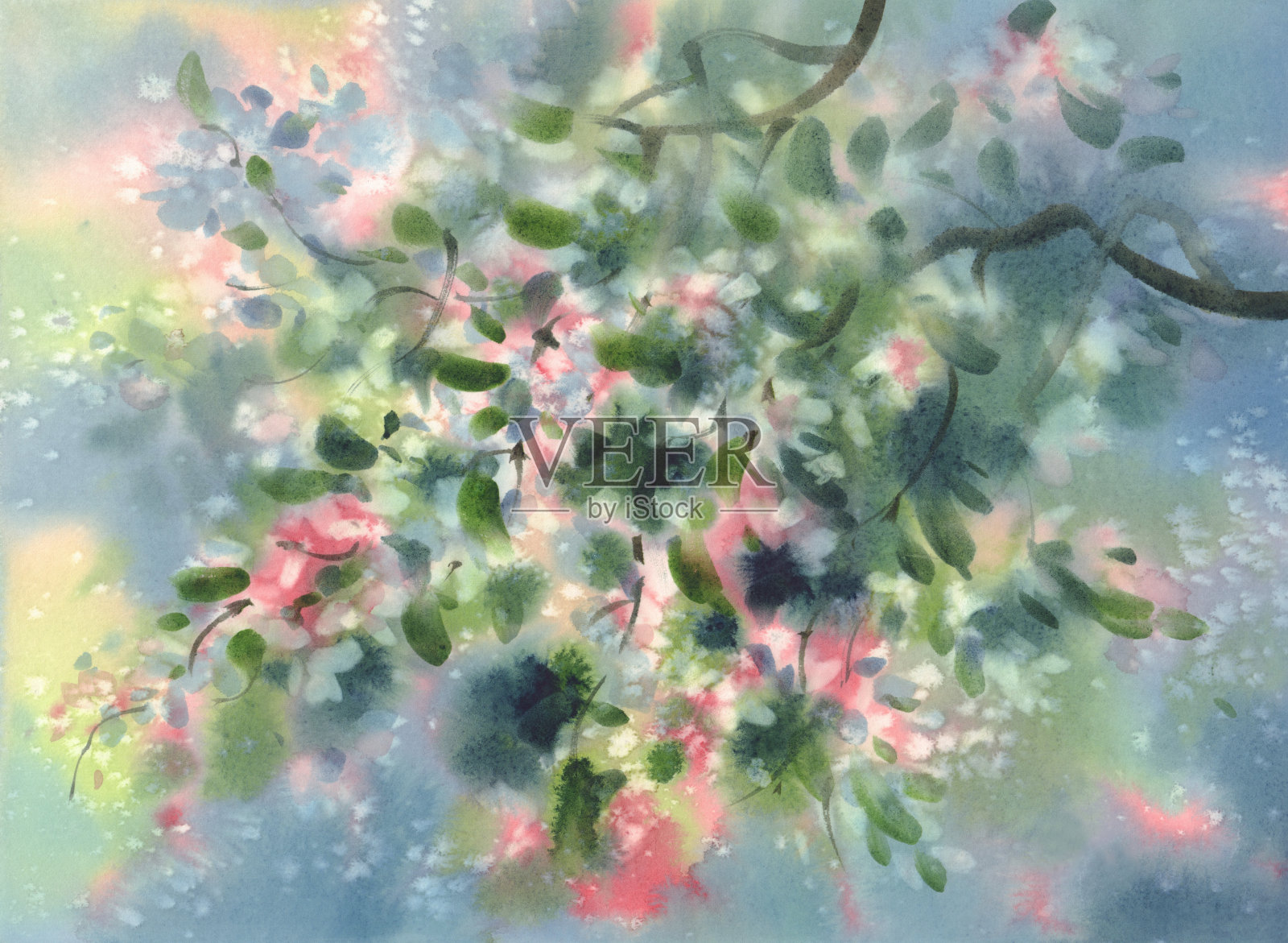 开花的树枝在春天的水彩背景插画图片素材