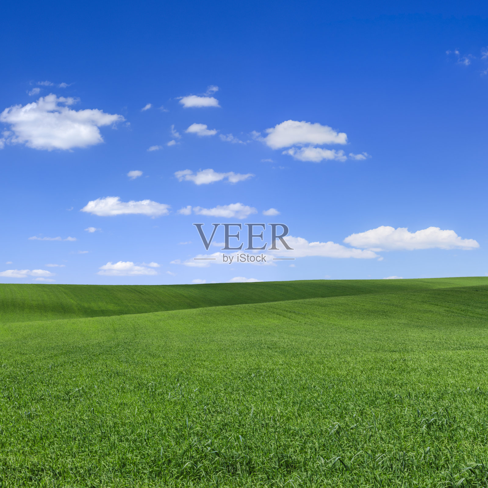 全景春天景观XXXL 34 MPix -绿色的田野，蓝色的天空照片摄影图片