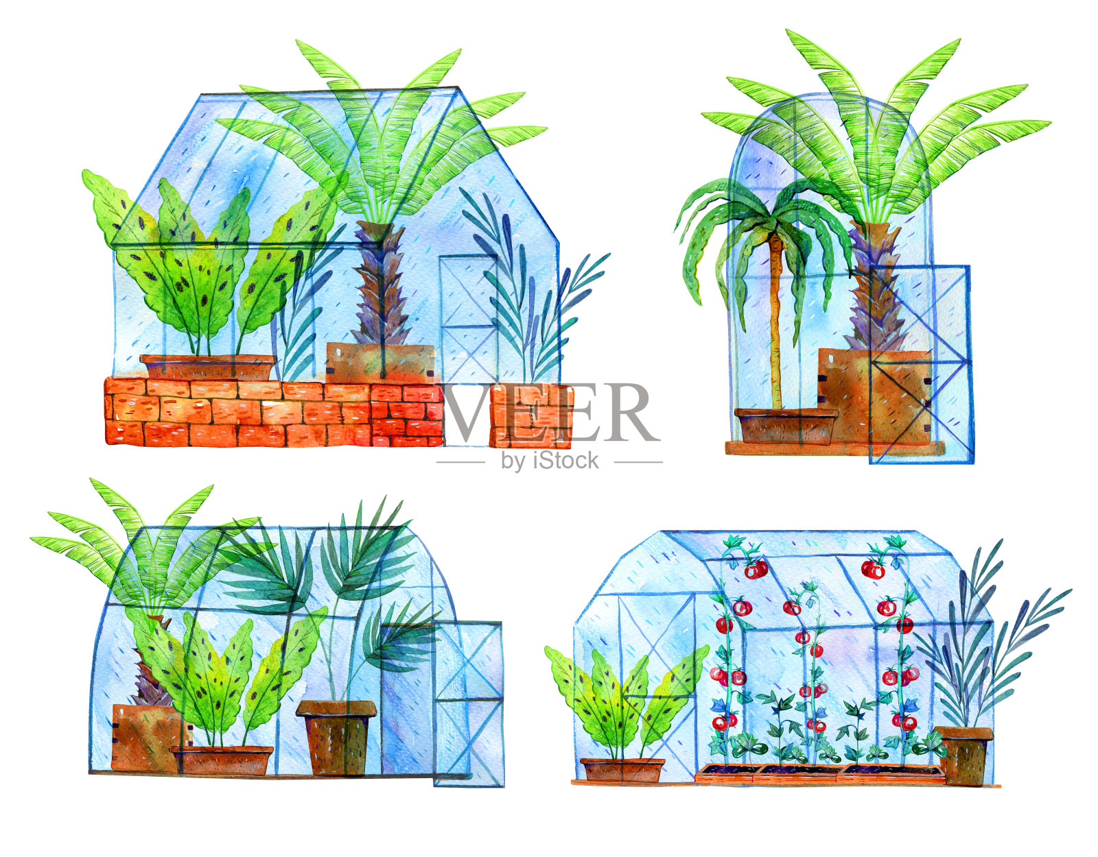 不同的温室里面有植物。手绘水彩素描插图孤立的白色背景插画图片素材