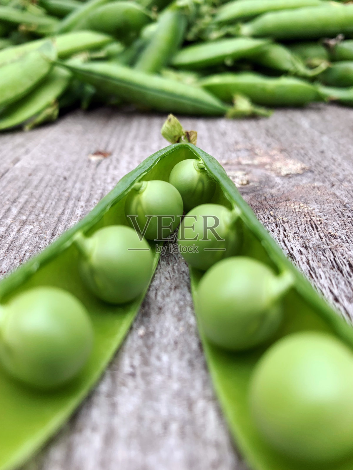 新鲜收获的绿色豌豆从有机花园照片摄影图片