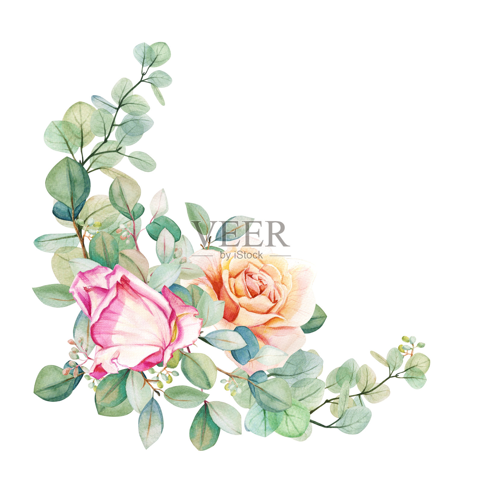 花束圆形框架模板从水彩花桉树与粉红色和茶橙玫瑰。手绘花环。花团锦簇，怒放。插画图片素材