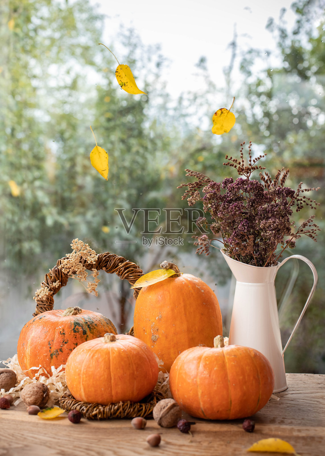 美丽的秋天静物南瓜，坚果，黄叶和一束干花照片摄影图片