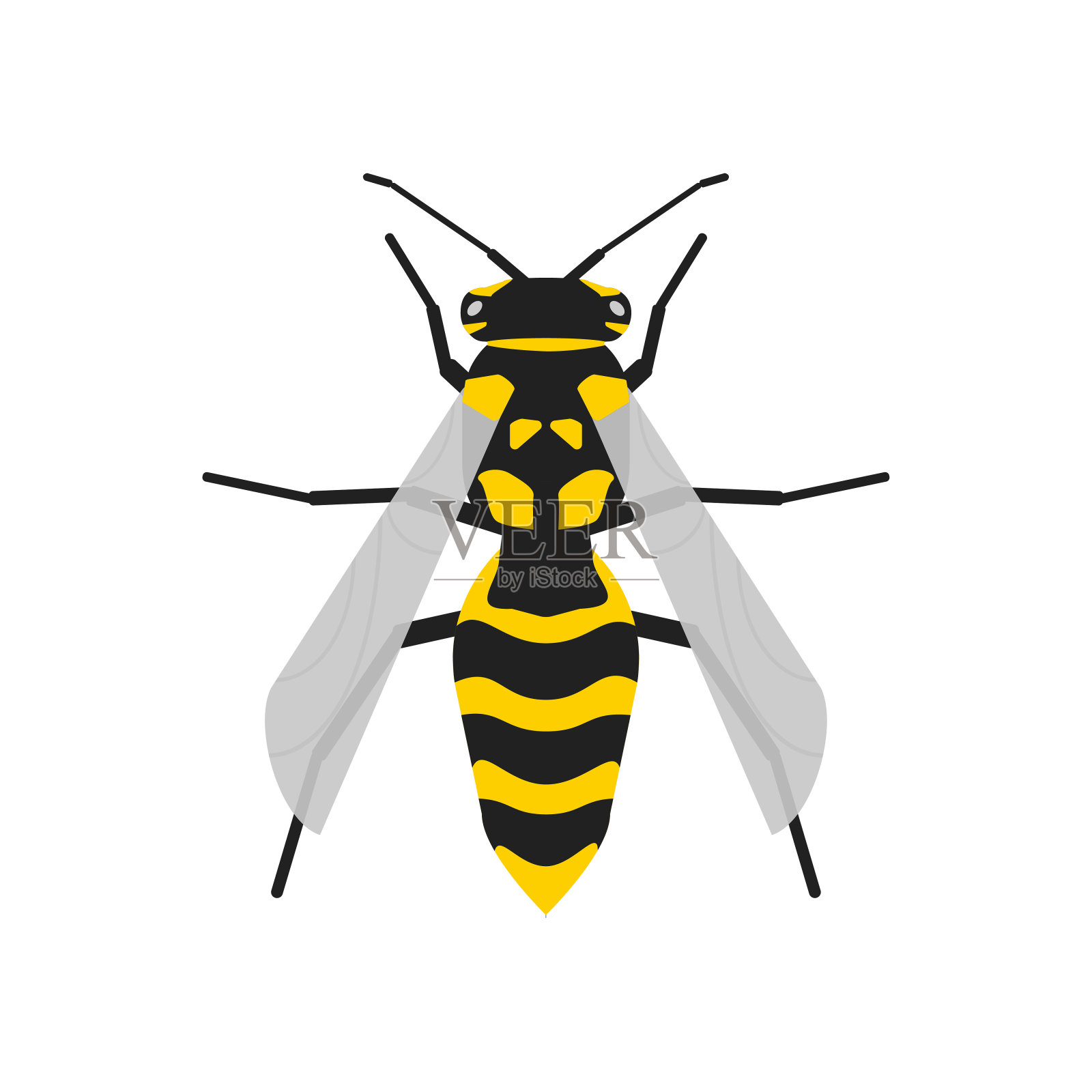 矢量黄蜂现实插图在平。蜜蜂孤立的概念。插画图片素材
