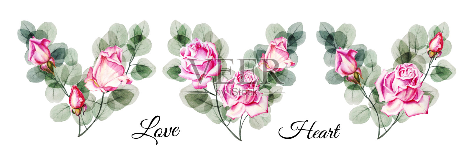 水彩花桉树和粉色玫瑰三心花束收集。手绘插图。花团锦簇，怒放。插画图片素材