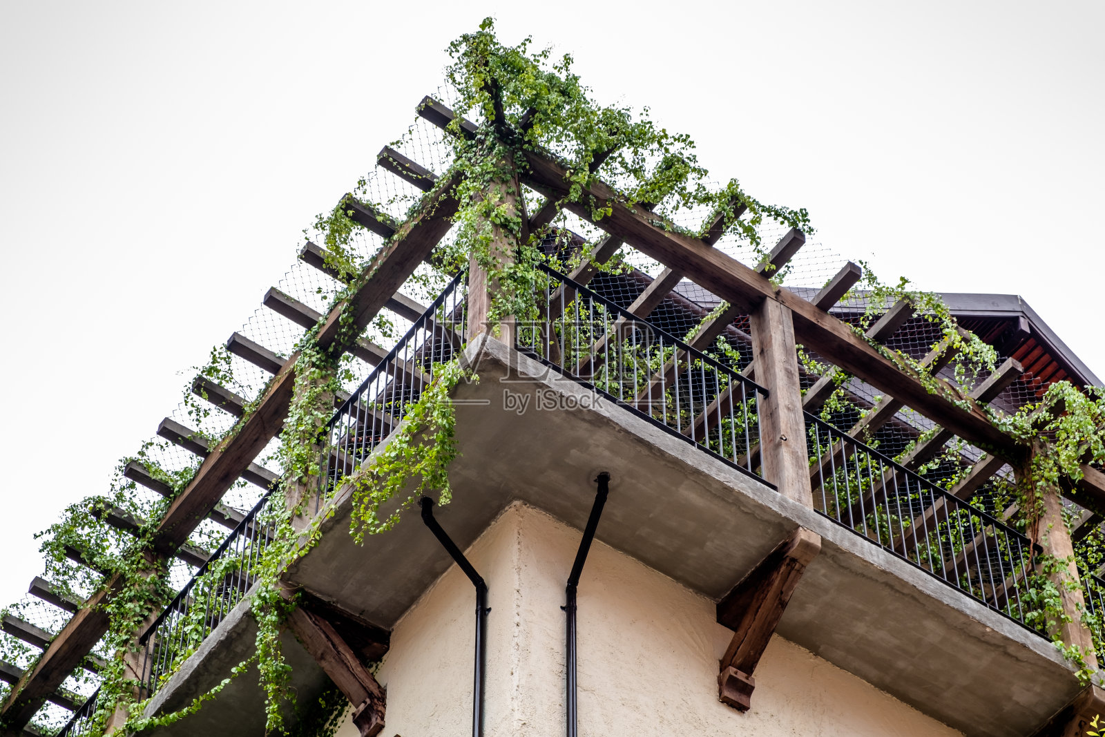 有木棚架和绿色攀缘植物生长的建筑物阳台。照片摄影图片