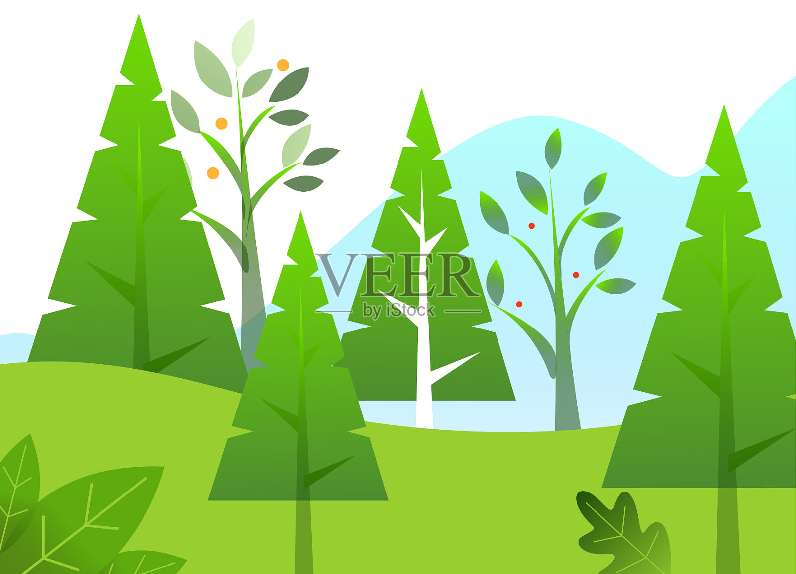 在春天的森林里，绿树成荫插画图片素材