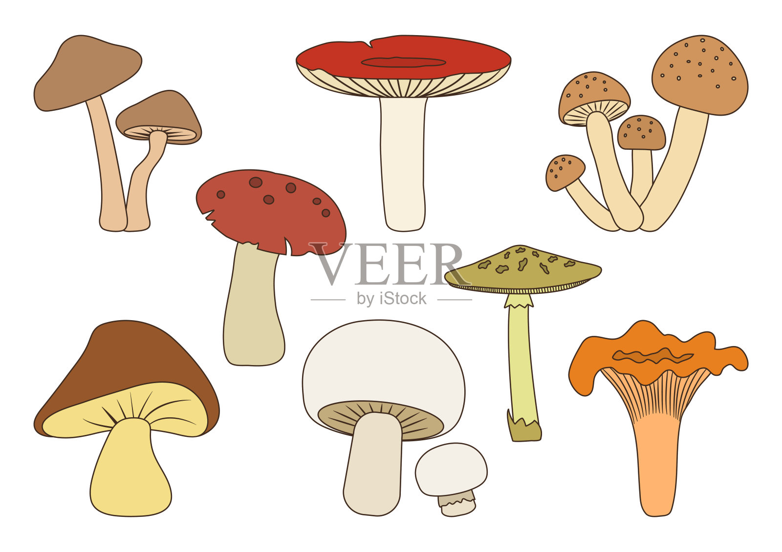 卡通的不同蘑菇孤立在白色的背景。向量设计元素图片